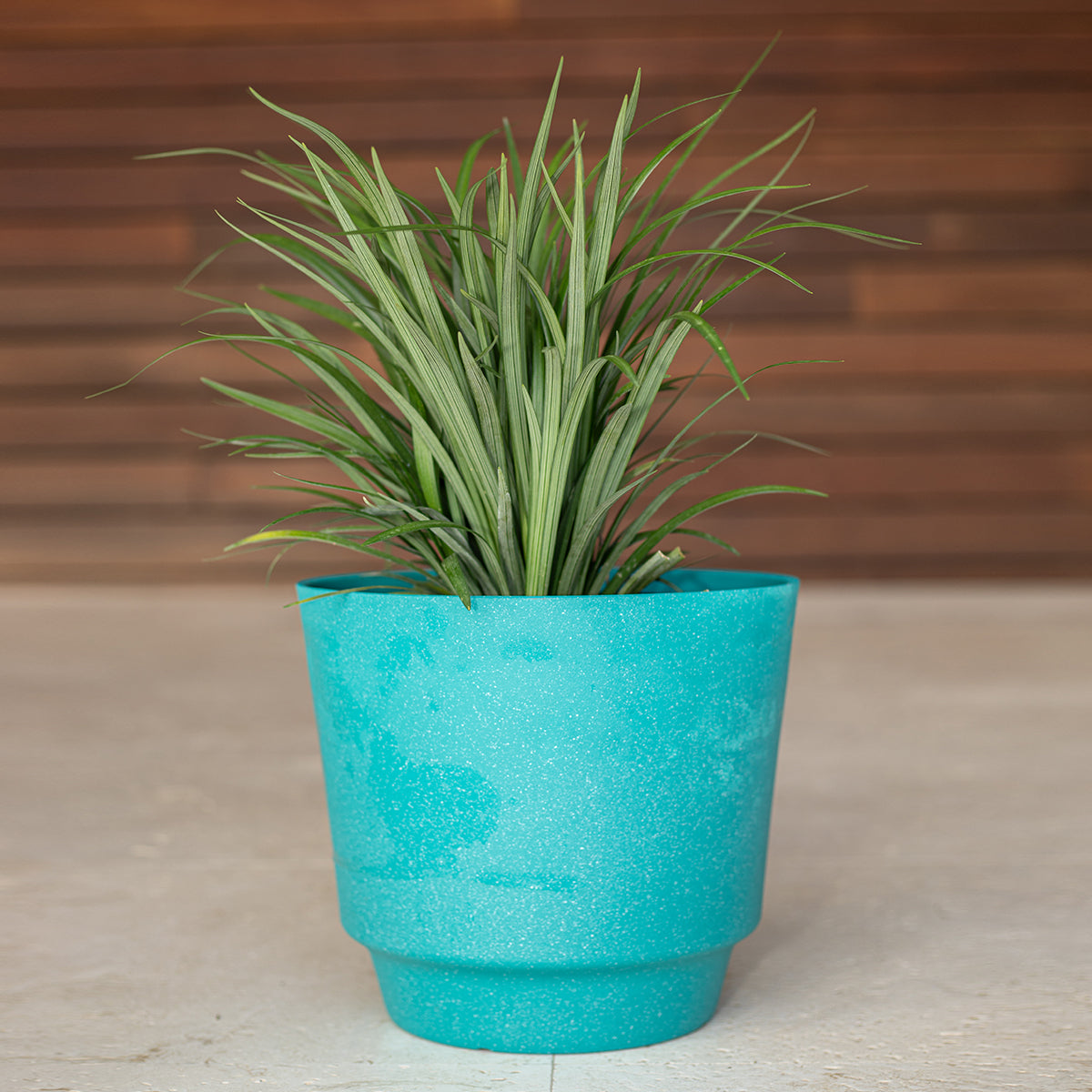 Liriope (Monkey Grass)